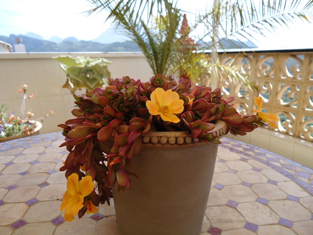 Villa Pico - Charming B&B Sella Екстериор снимка